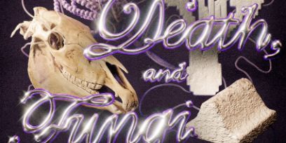 A horse's skull and a curved concrete element are depicted against a dark purple background, with the words ‘Death and Fungi’ in glossy colour above.
