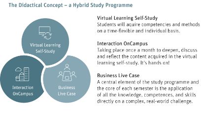 Studienmodell MSc Digital Business Administration